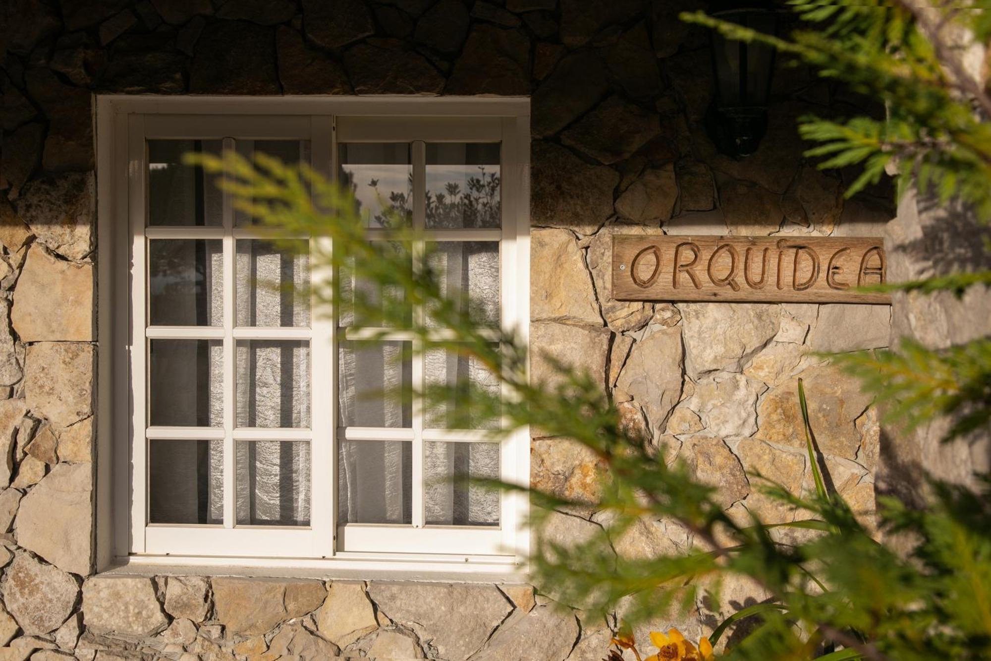Casas Da Gralha Panzió Turquel Szoba fotó